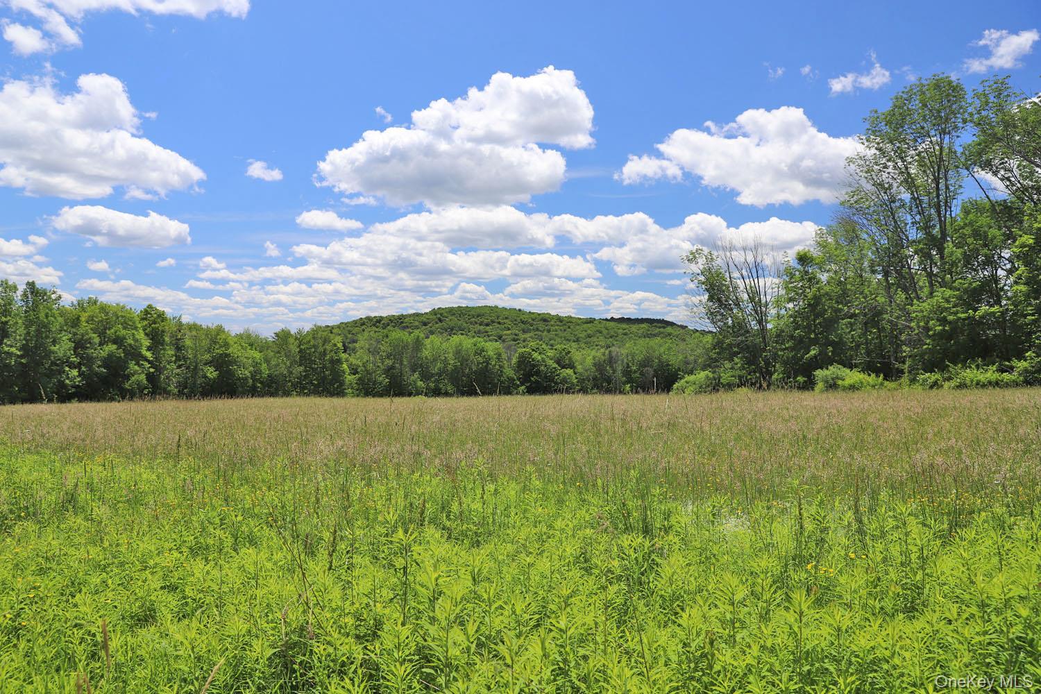 Dietz Road Callicoon Center, NY 12724 - Photo 2 of 24 Expansive grassy field framed by a distant treeline and a rolling, tree-covered hill