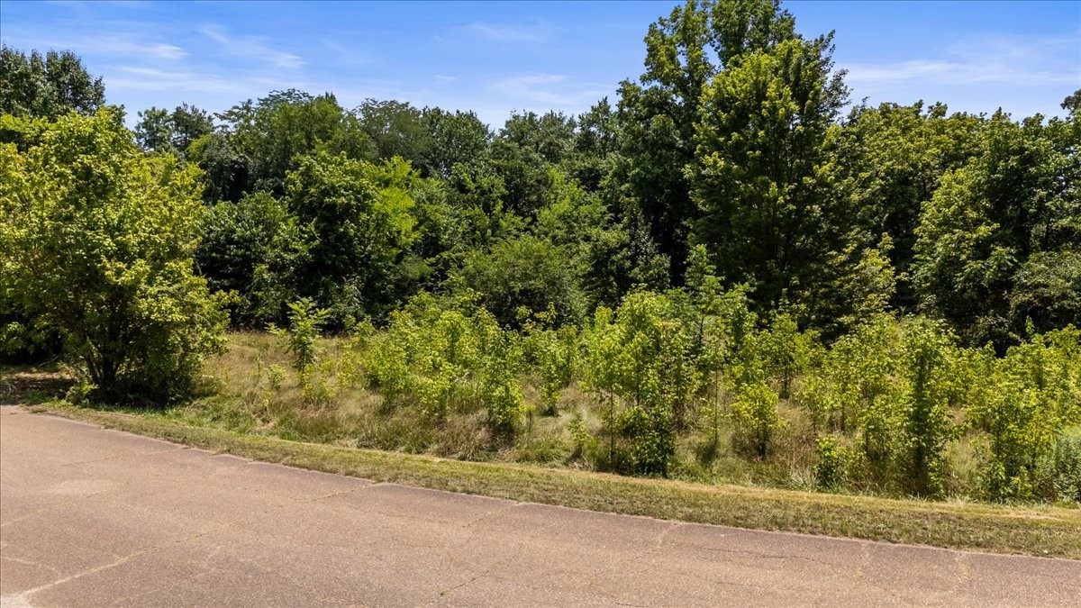 474 Clift Road Soddy-Daisy, TN 37379 - Photo 12 of 19
