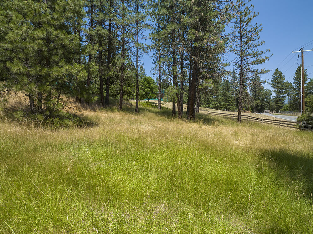 2756 Robertson Bridge Road Grants Pass, OR 97526 - Photo 3 of 46 3