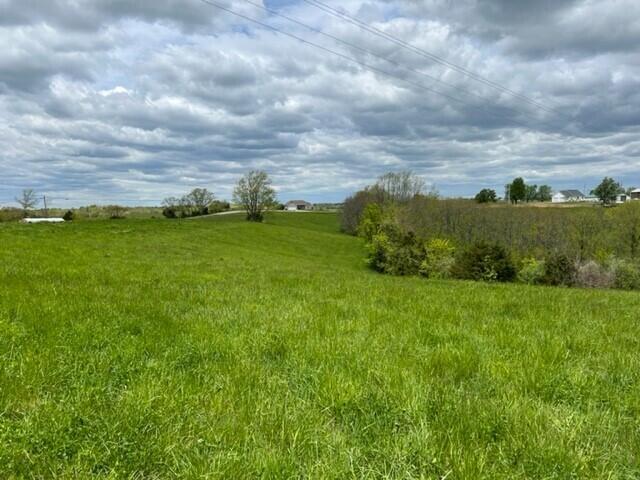 205 Greenville Road Dry Ridge, KY 41035 - Photo 2 of 6
