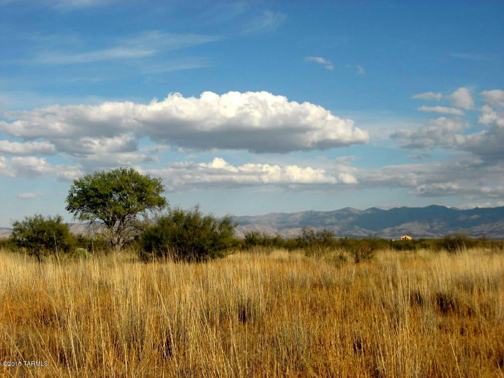 40 Ac On Grimmett Road, Unit 68 Pearce, AZ 85625 - Photo 1 of 9