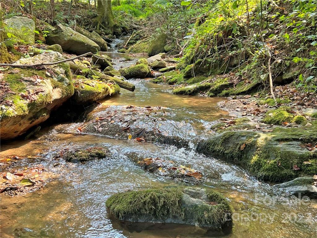 750 Baltimore Branch Road Hot Springs, NC 28743 - Photo 3 of 21 Gallery Image 3