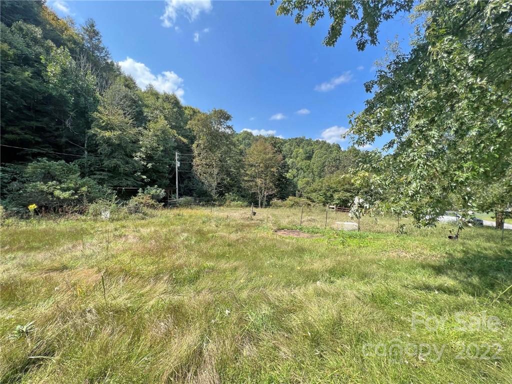 750 Baltimore Branch Road Hot Springs, NC 28743 - Photo 8 of 21 Gallery Image 8