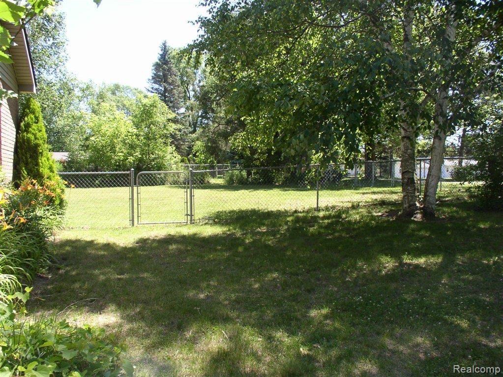 Side Yard.JPG