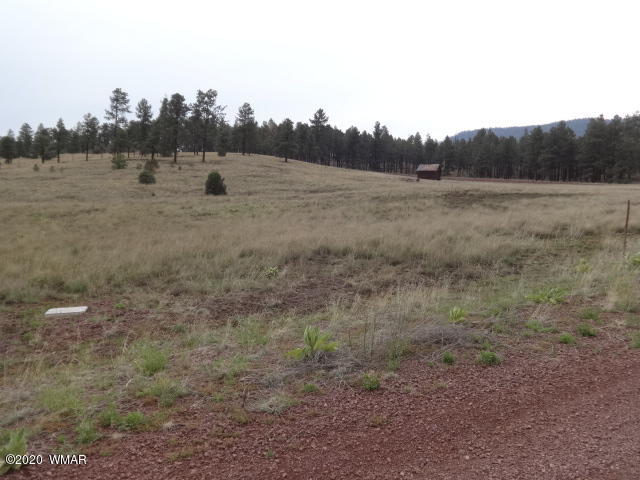 Lot 28 The Ranch Alpine, AZ 85920 - Photo 2 of 27