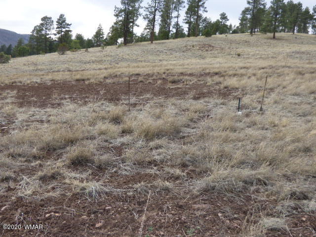 Lot 28 The Ranch Alpine, AZ 85920 - Photo 3 of 27