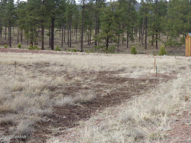 Lot 28 The Ranch Alpine, AZ 85920 - Photo 4 of 27
