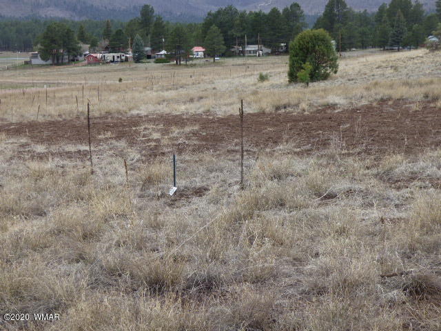 Lot 28 The Ranch Alpine, AZ 85920 - Photo 5 of 27