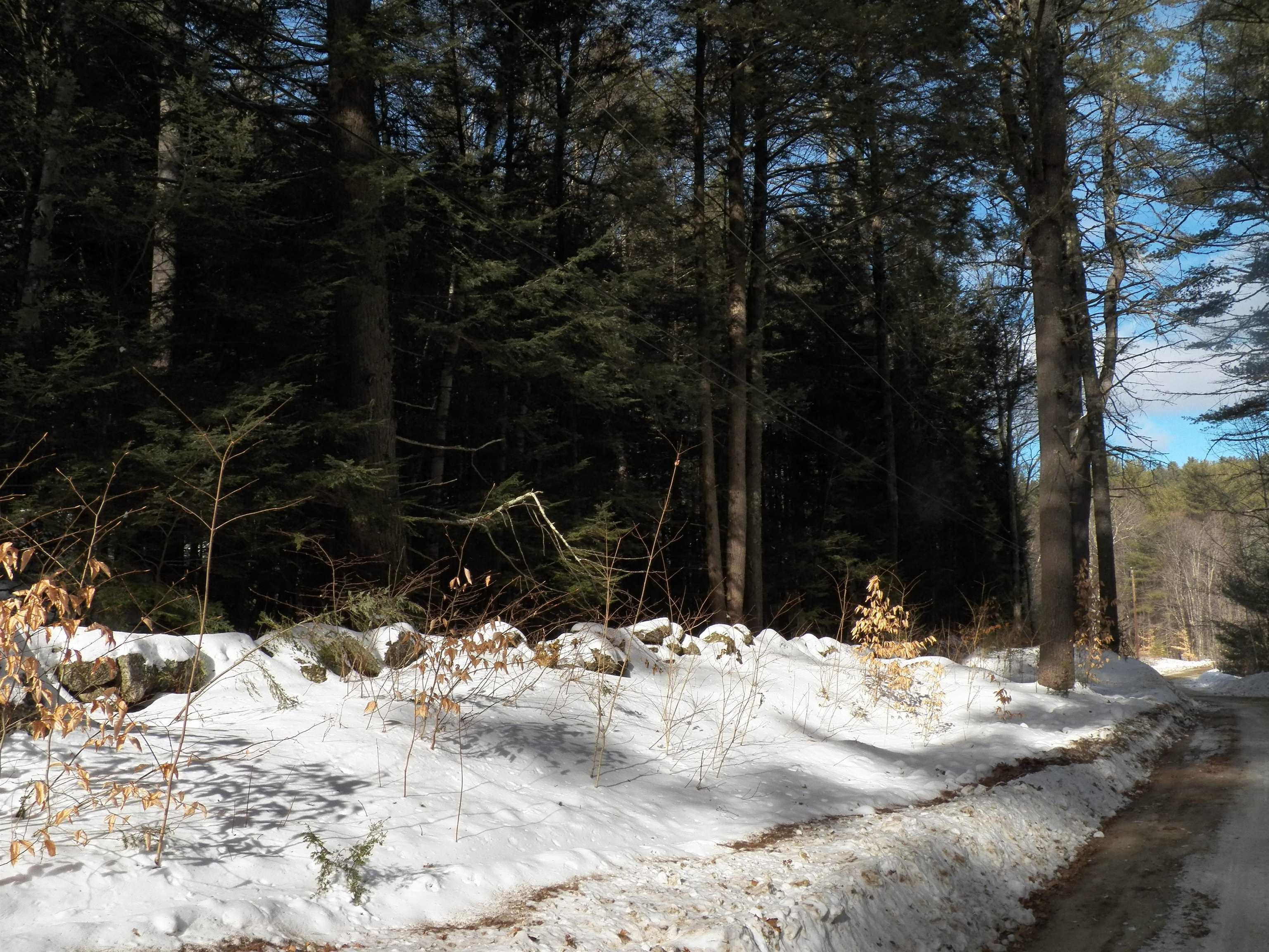 Lot 3 Sheldon Road Danbury, NH 03230 - Photo 13 of 18