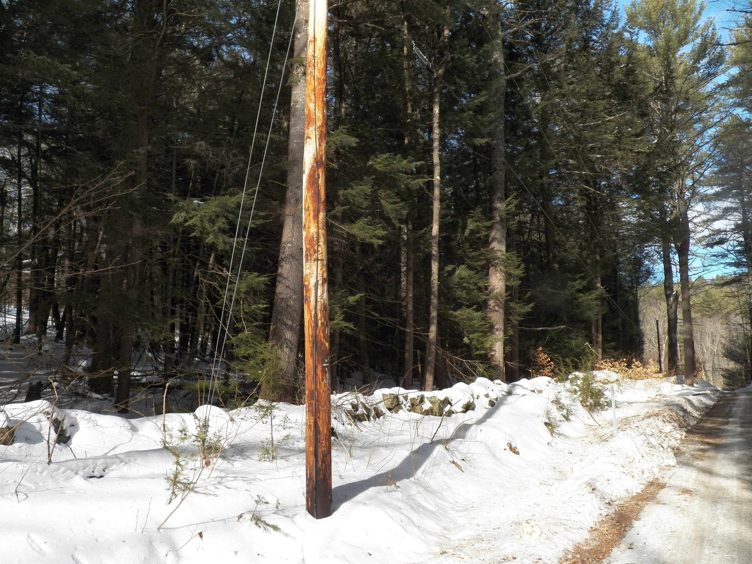 Lot 3 Sheldon Road Danbury, NH 03230 - Photo 15 of 18