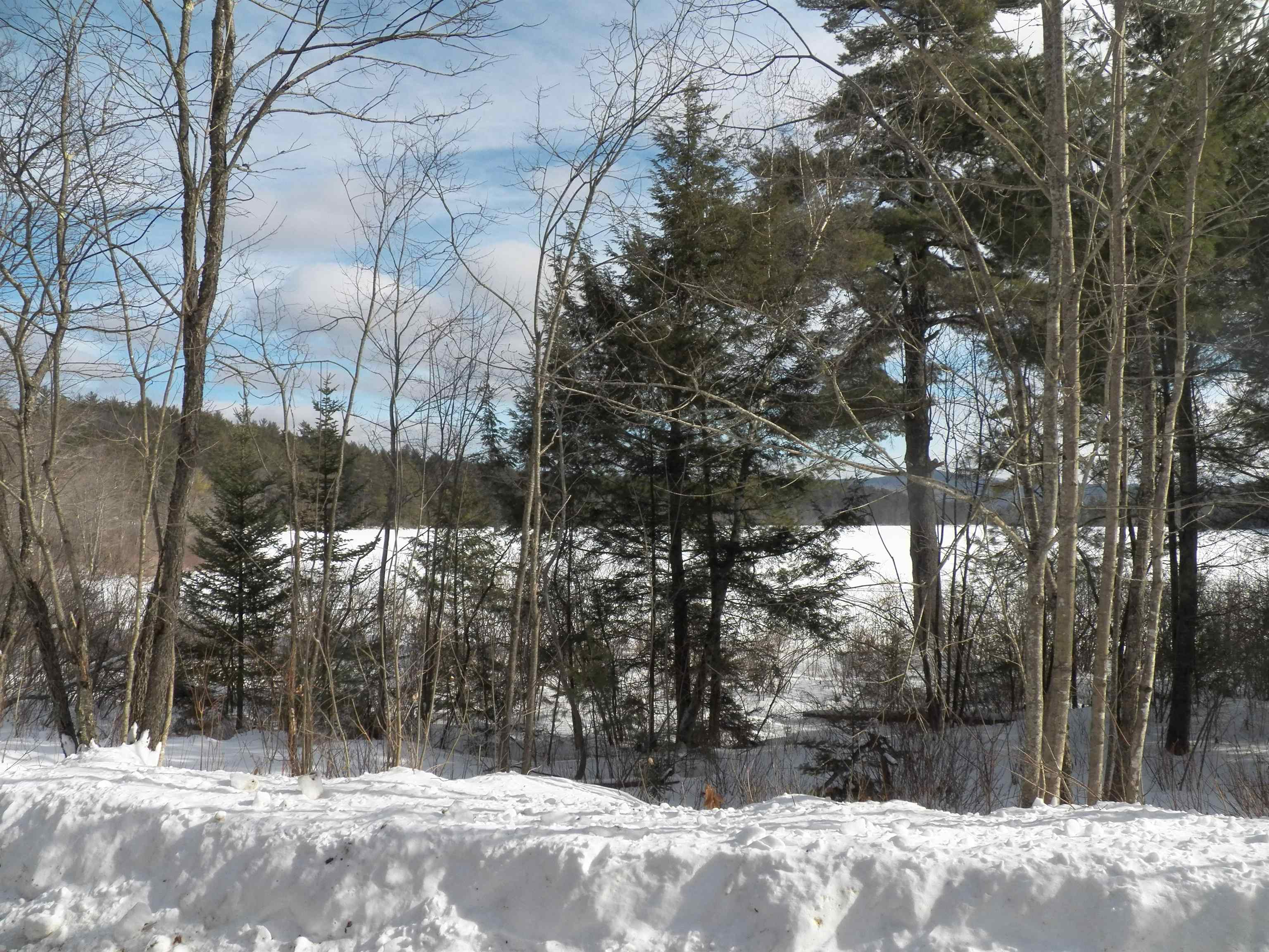 Lot 3 Sheldon Road Danbury, NH 03230 - Photo 3 of 18