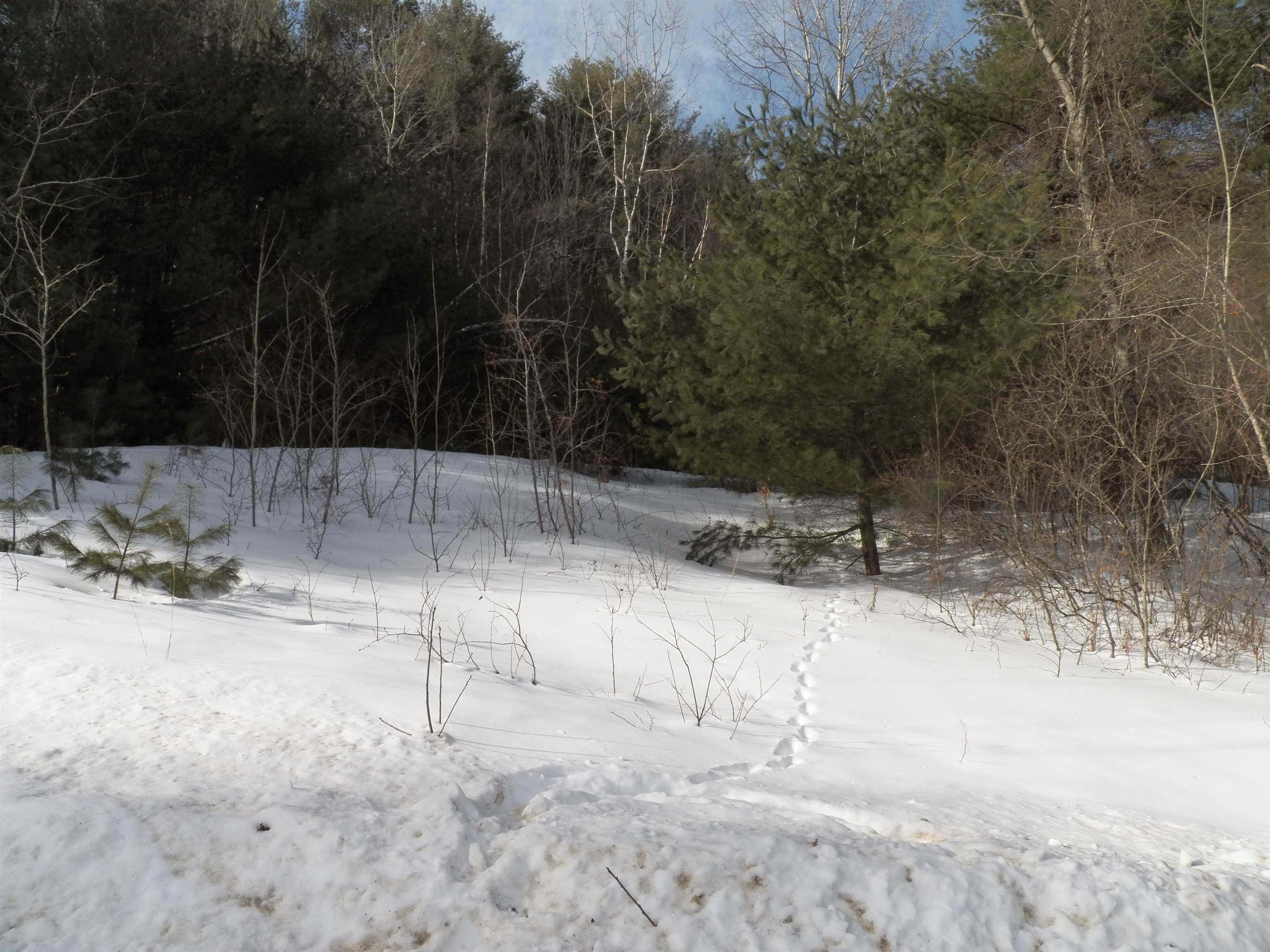 Lot 3 Sheldon Road Danbury, NH 03230 - Photo 4 of 18