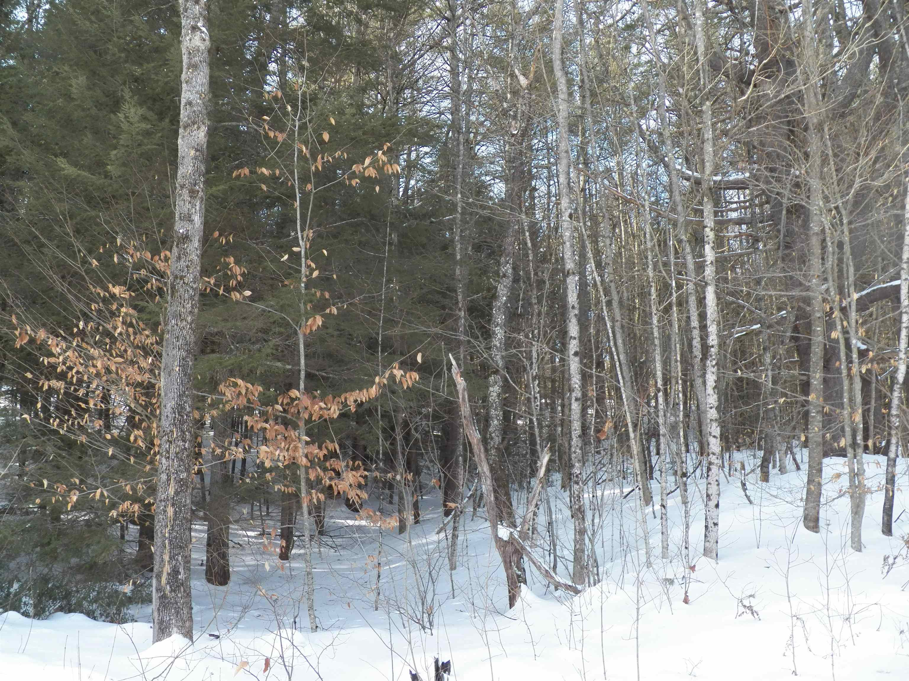 Lot 3 Sheldon Road Danbury, NH 03230 - Photo 5 of 18