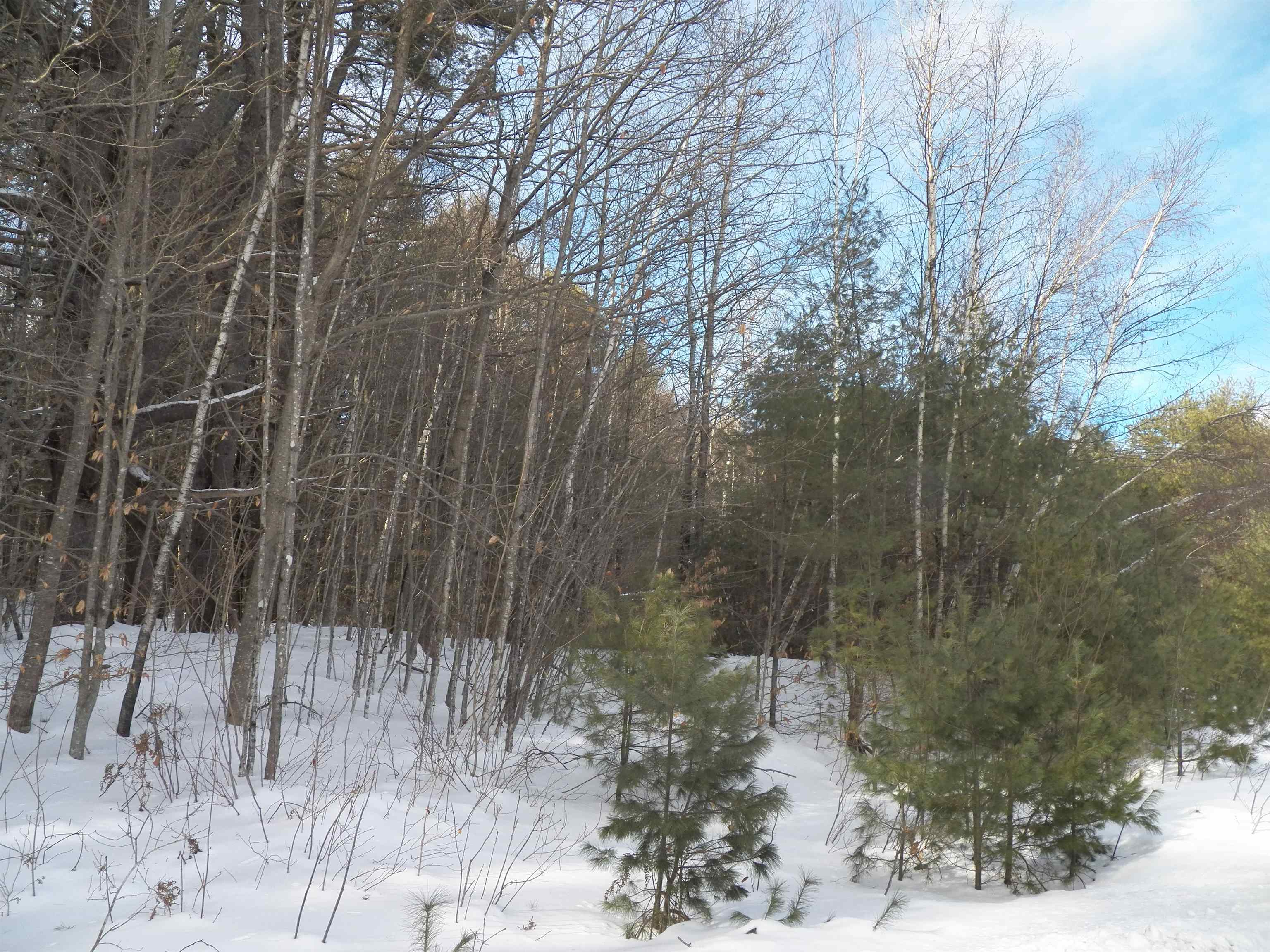 Lot 3 Sheldon Road Danbury, NH 03230 - Photo 7 of 18