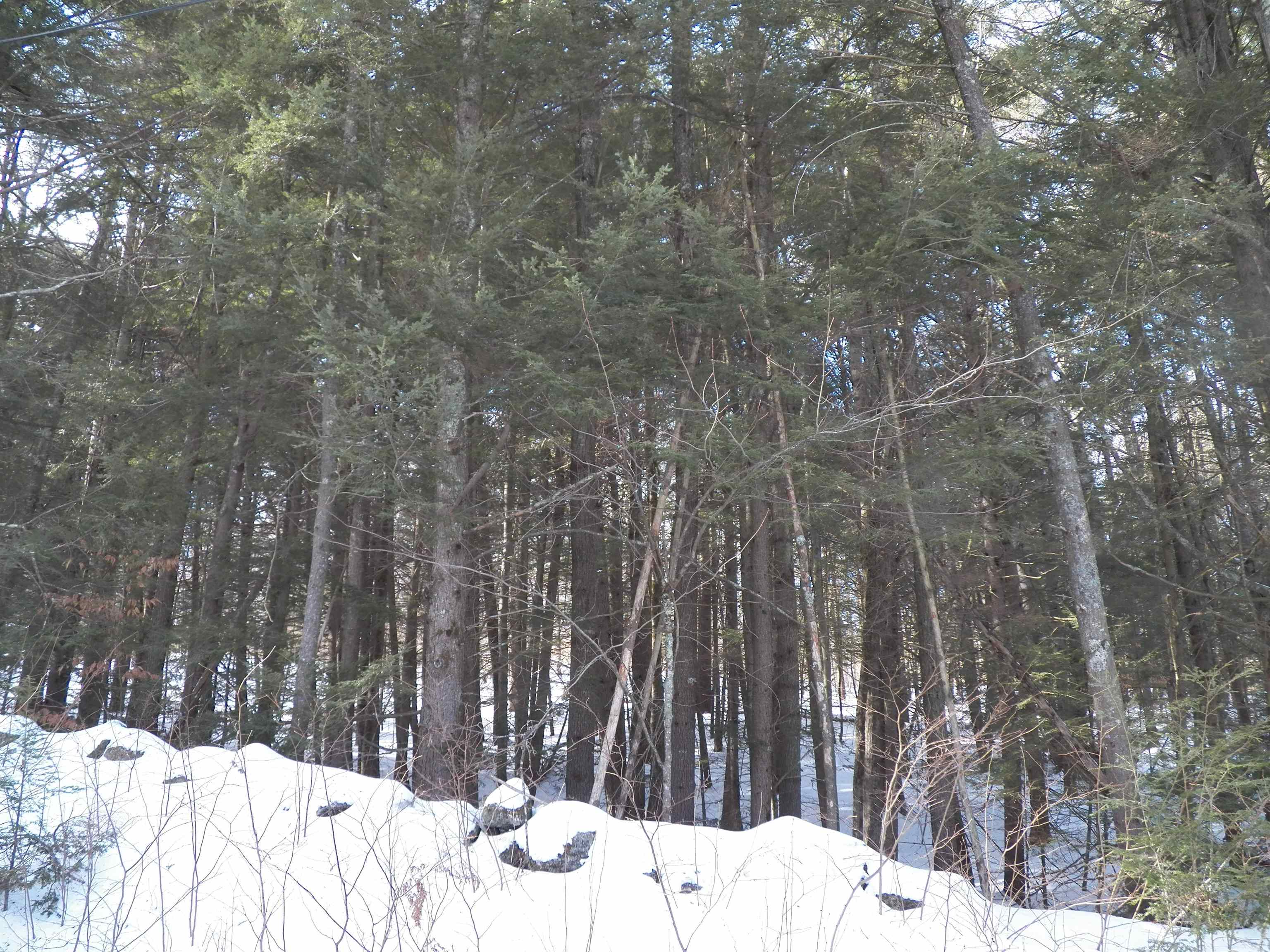 Lot 3 Sheldon Road Danbury, NH 03230 - Photo 8 of 18