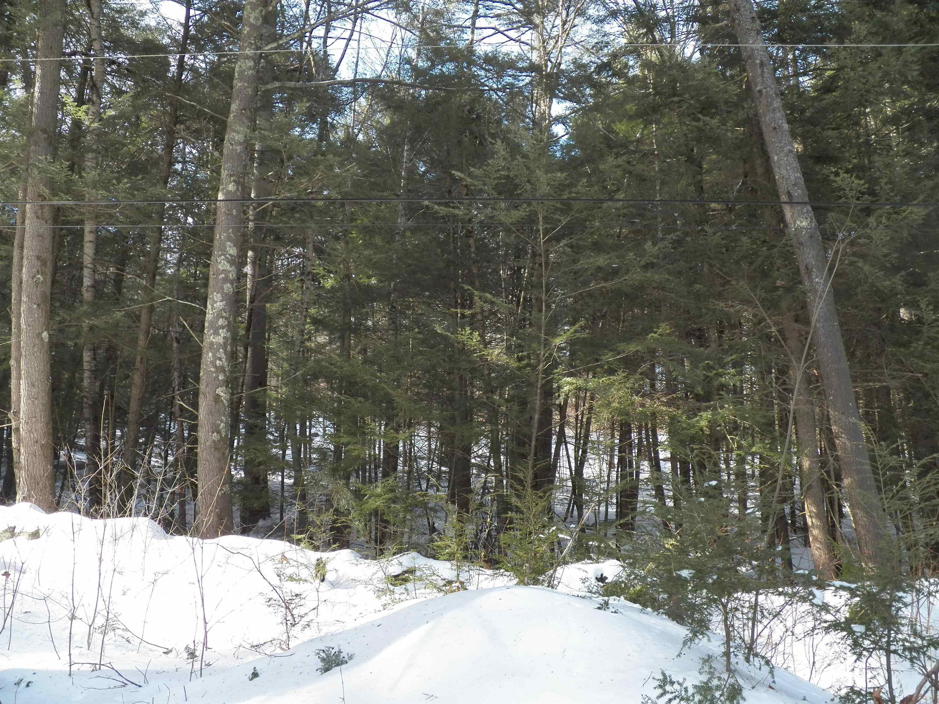 Lot 3 Sheldon Road Danbury, NH 03230 - Photo 9 of 18