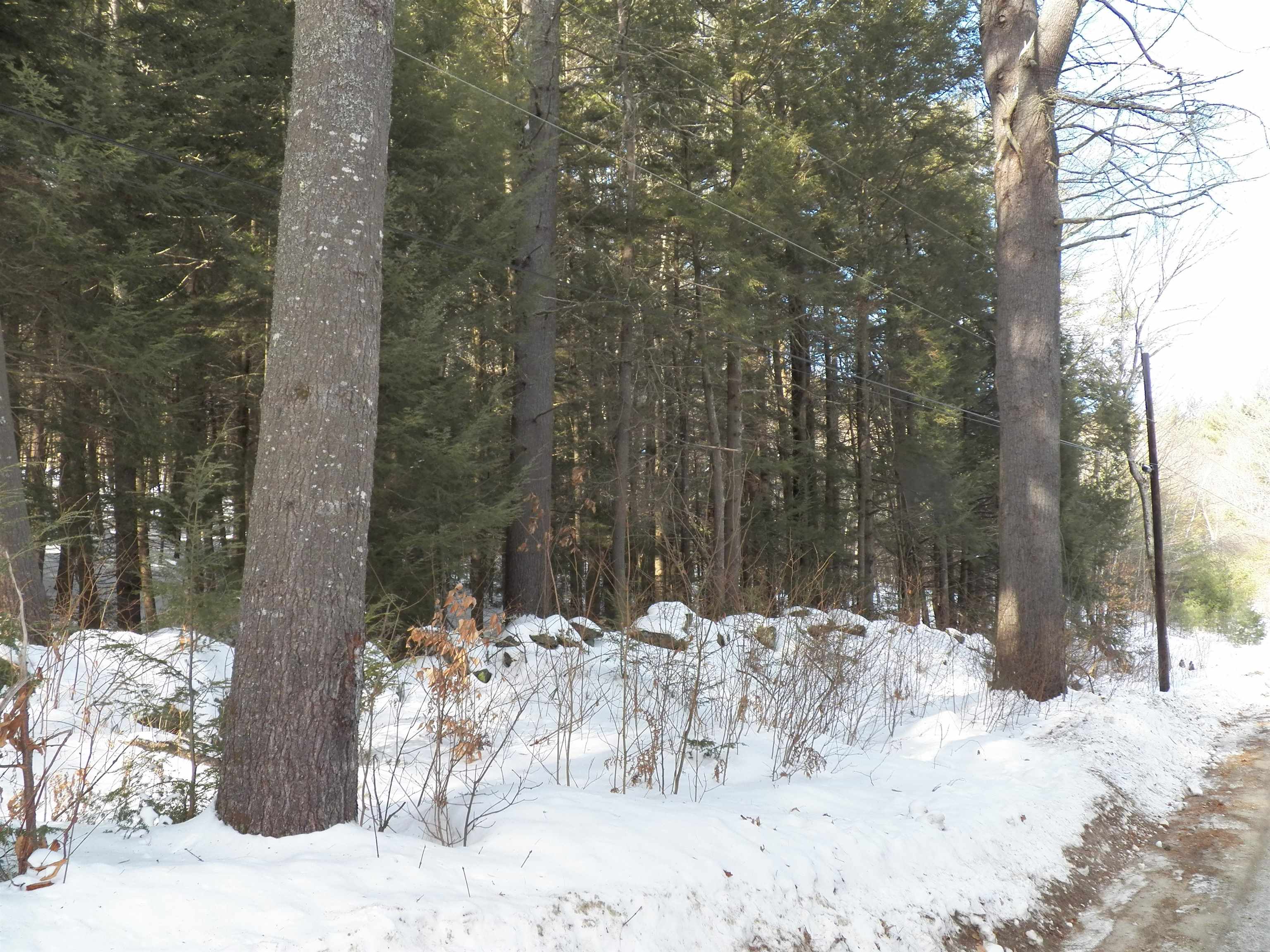 Lot 3 Sheldon Road Danbury, NH 03230 - Photo 10 of 18