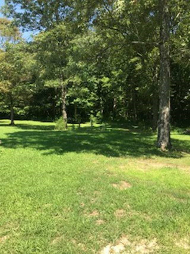 1087 Lock 5 Road Roundhill, KY 42275 - Photo 3 of 16 Gallery Image 3