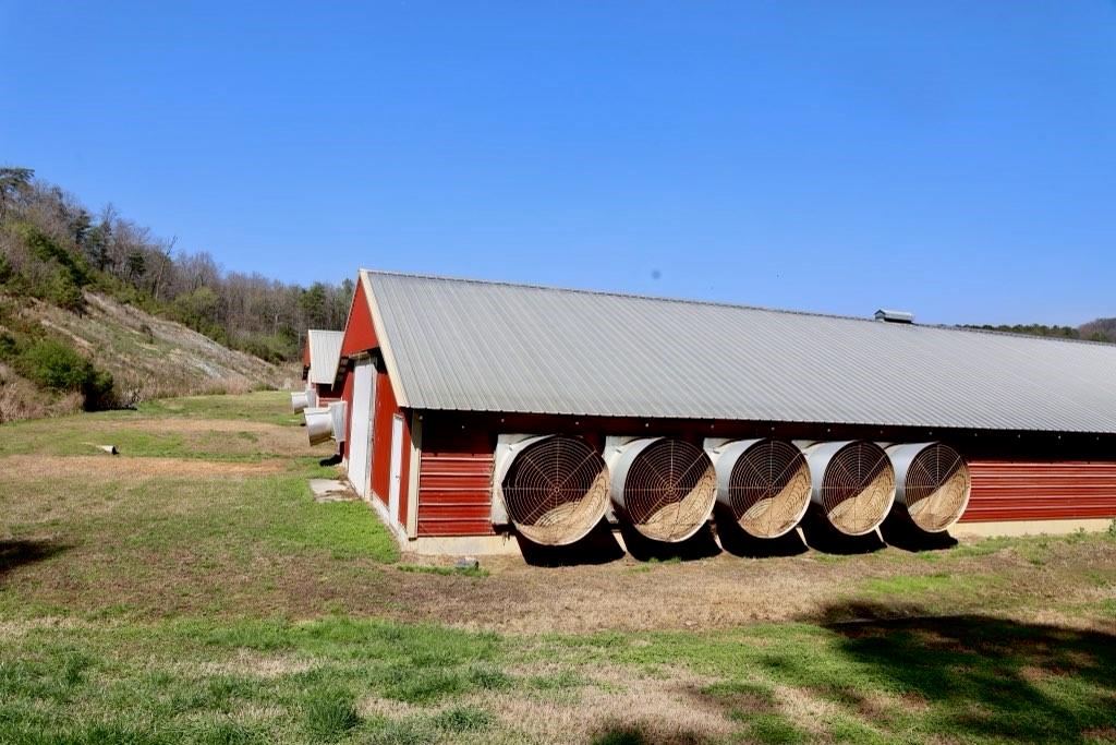 721 Liberty Church Road Northeast Ranger, GA 30734 - Photo 18 of 41