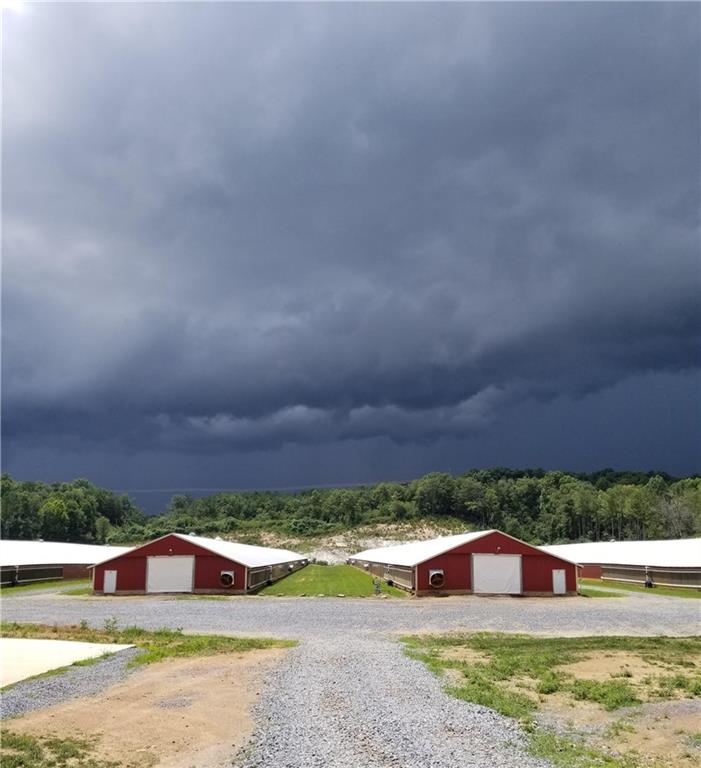 721 Liberty Church Road Northeast Ranger, GA 30734 - Photo 2 of 41