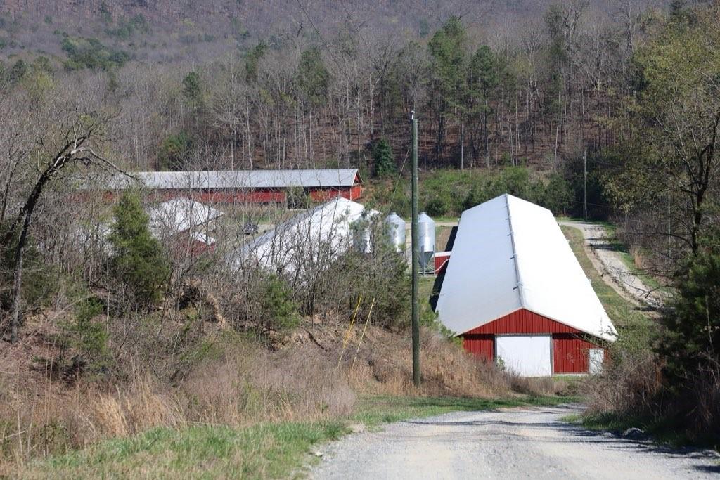 721 Liberty Church Road Northeast Ranger, GA 30734 - Photo 24 of 41