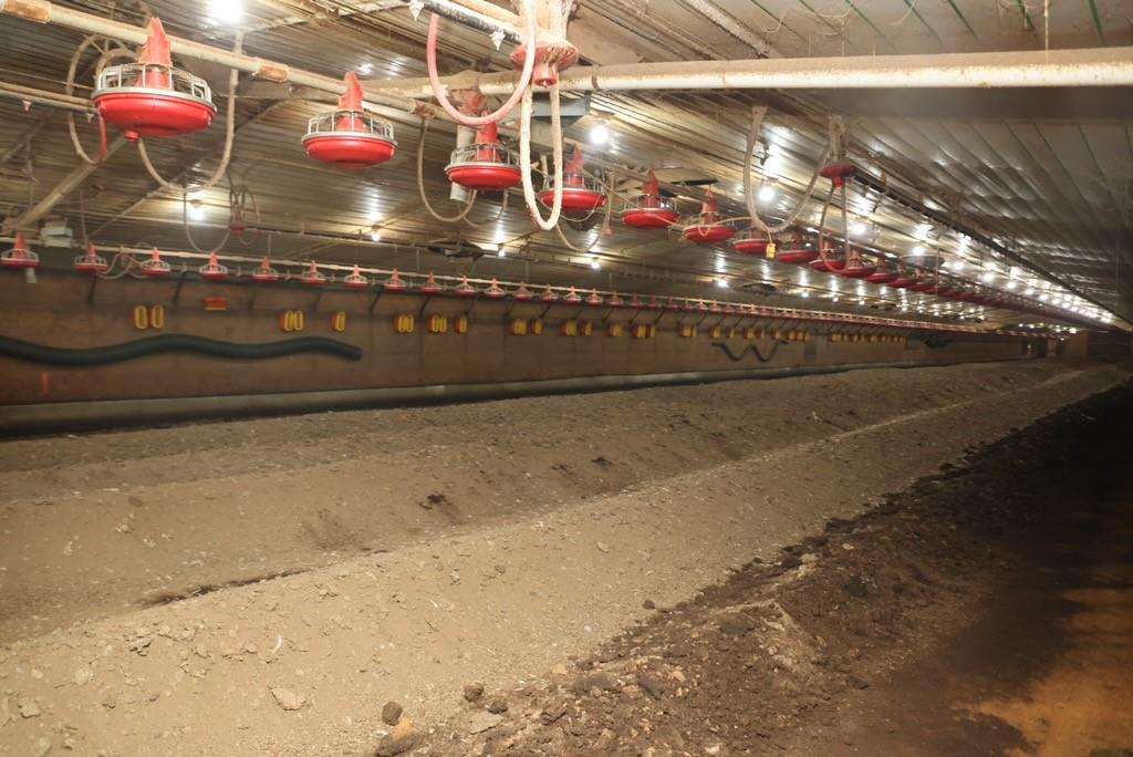 721 Liberty Church Road Northeast Ranger, GA 30734 - Photo 26 of 41