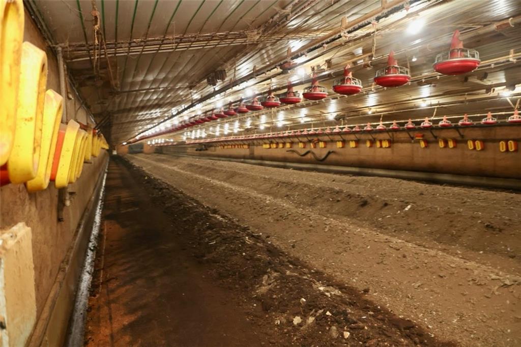 721 Liberty Church Road Northeast Ranger, GA 30734 - Photo 27 of 41