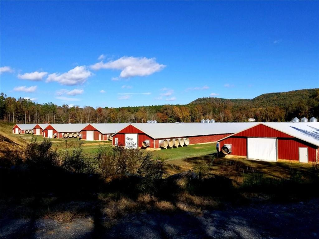 721 Liberty Church Road Northeast Ranger, GA 30734 - Photo 3 of 41