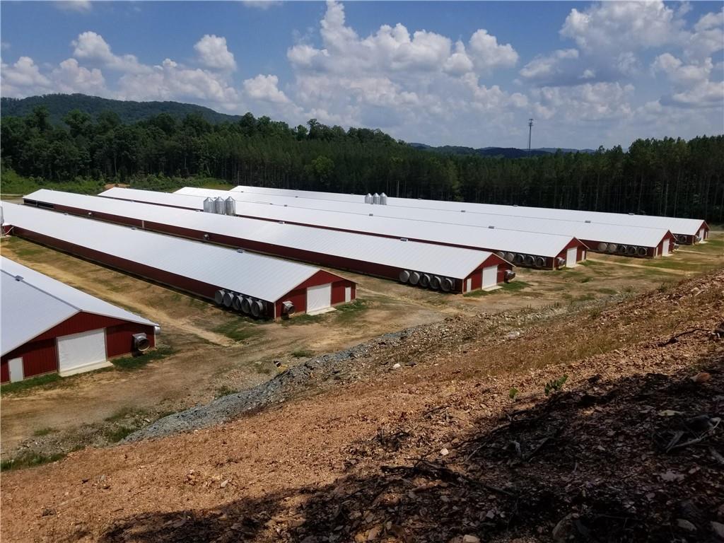 721 Liberty Church Road Northeast Ranger, GA 30734 - Photo 5 of 41