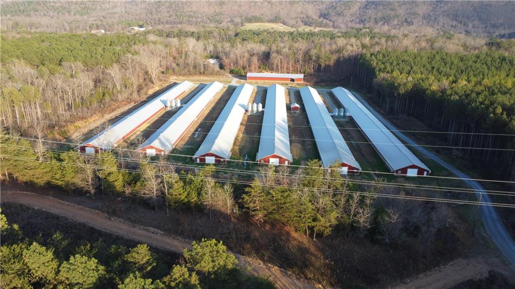 721 Liberty Church Road Northeast Ranger, GA 30734 - Photo 6 of 41