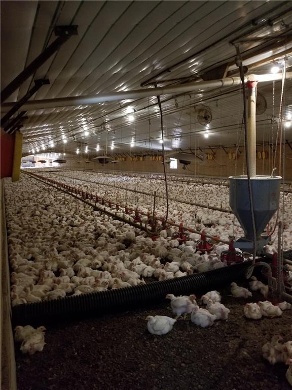 721 Liberty Church Road Northeast Ranger, GA 30734 - Photo 8 of 41