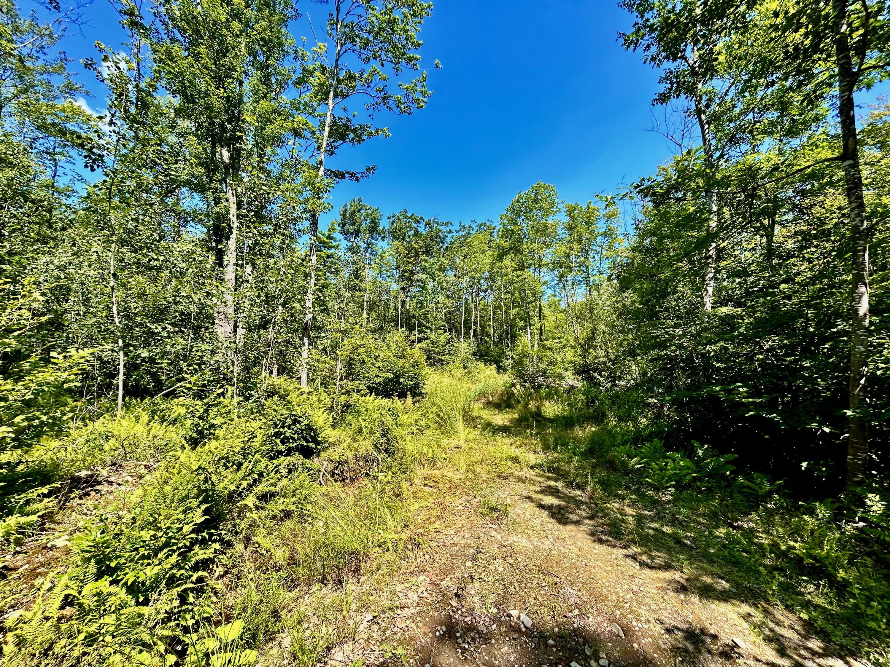 132 Calderwood Road Washington, ME 04574 - Photo 6 of 7 image2