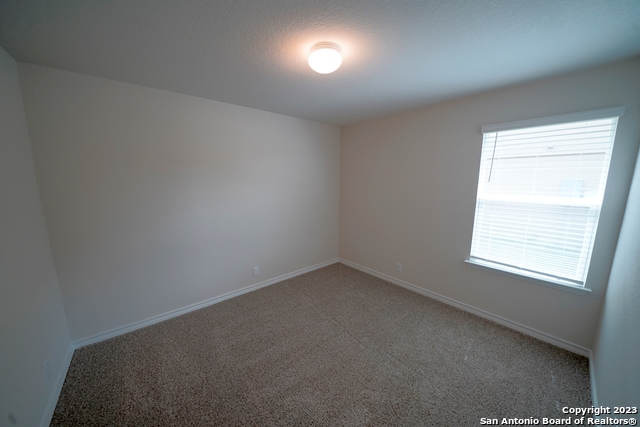 336 Great Raft Cibolo, TX 78108 - Photo 29 of 38