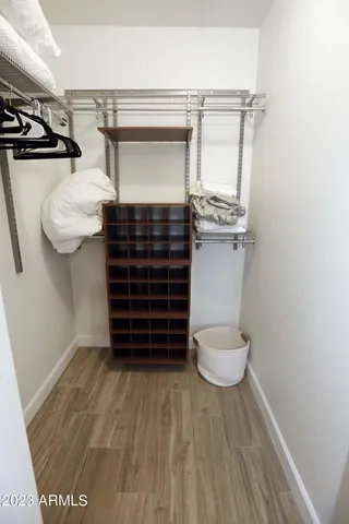 a view of a yard with plants and a large tree