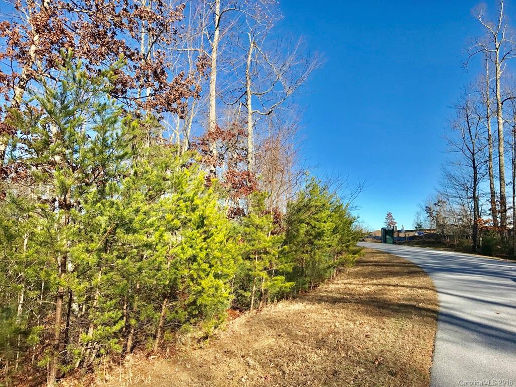 586 Monarch Road, Unit 39 Hendersonville, NC 28739 - Photo 3 of 9 Gallery Image 3