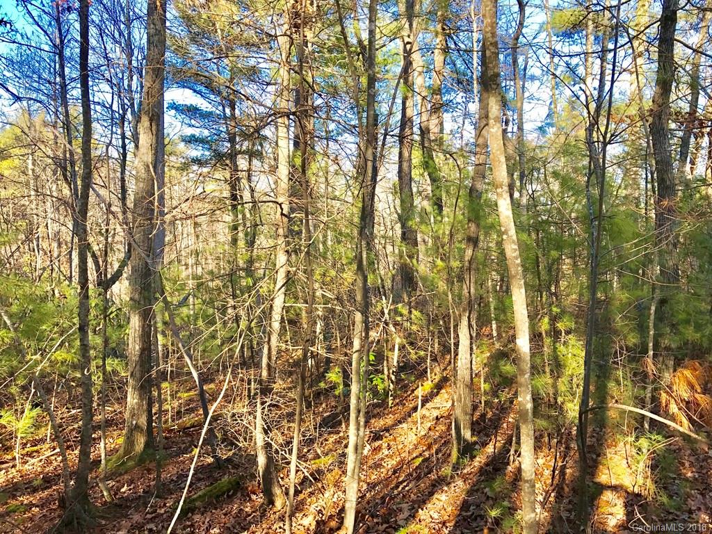 586 Monarch Road, Unit 39 Hendersonville, NC 28739 - Photo 5 of 9 Gallery Image 5