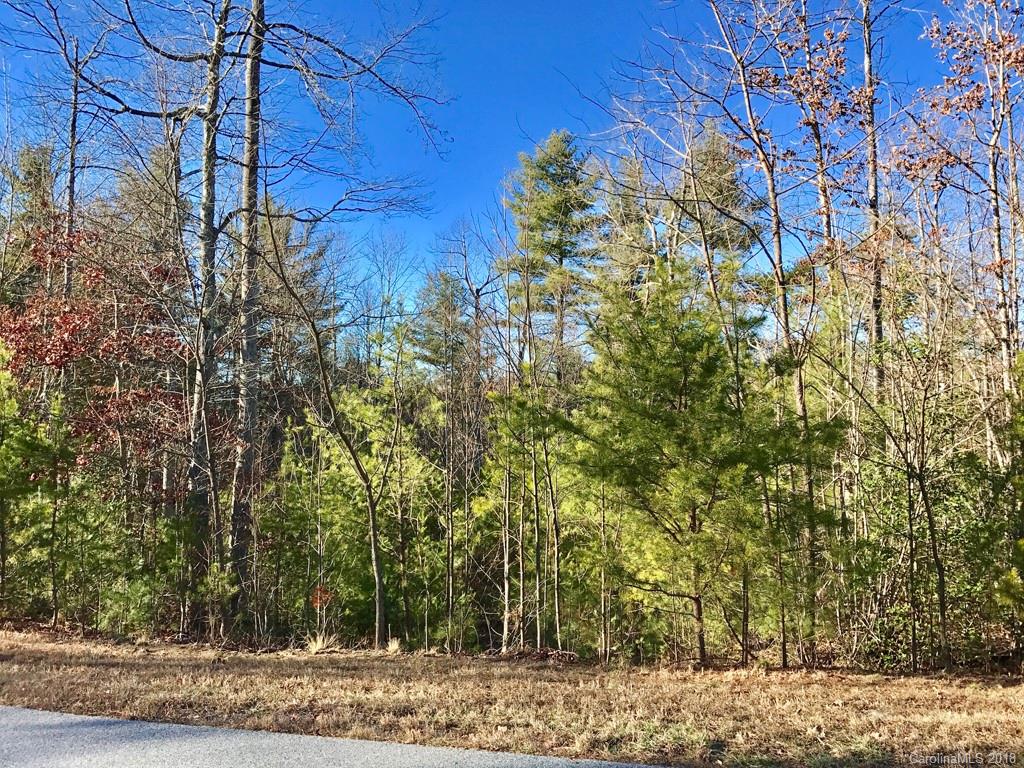 586 Monarch Road, Unit 39 Hendersonville, NC 28739 - Photo 7 of 9 Gallery Image 7