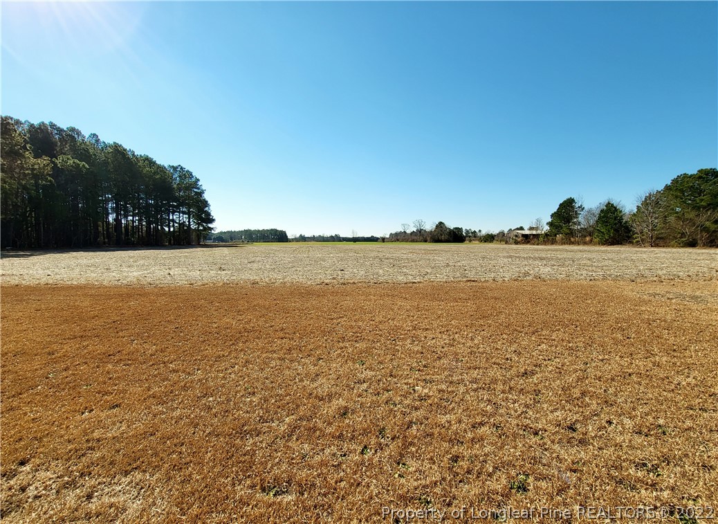 1137 Jordan Road Autryville, NC 28318 - Photo 39 of 40 Gallery Image 39