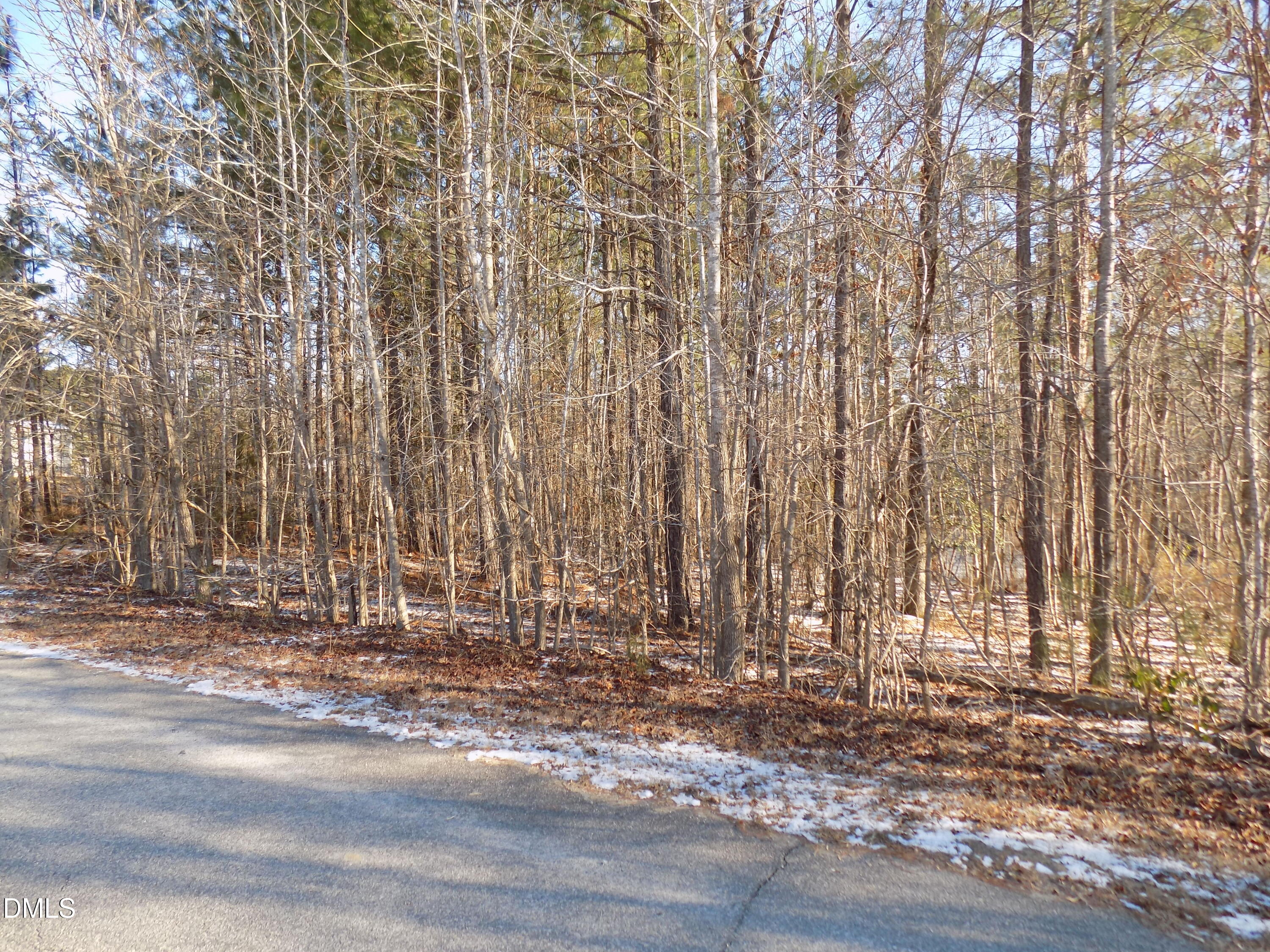 0 Buck Ridge Road Louisburg, NC 27549 - Photo 3 of 8 j5