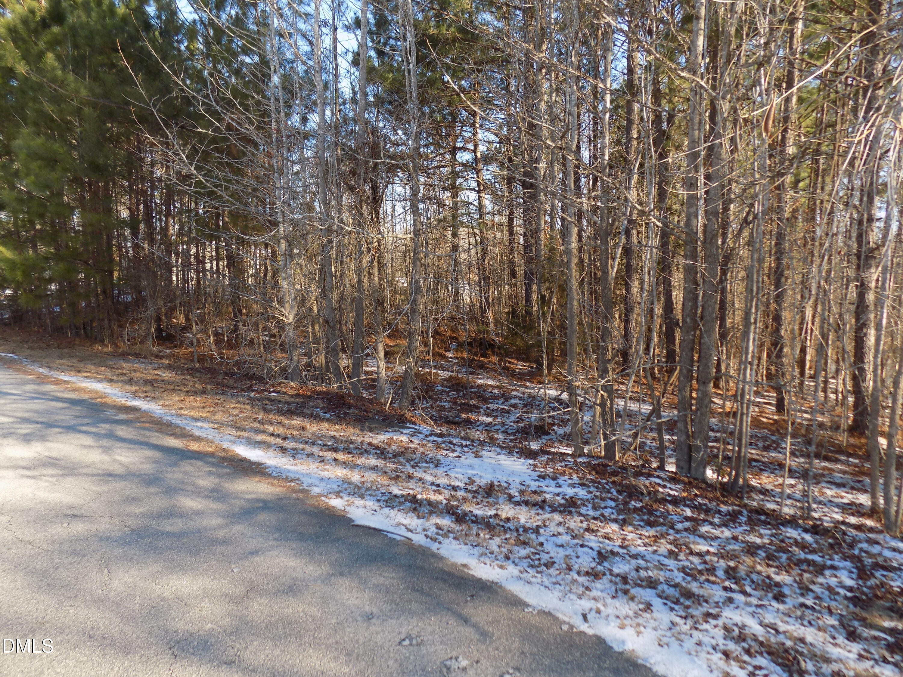 0 Buck Ridge Road Louisburg, NC 27549 - Photo 4 of 8 j6