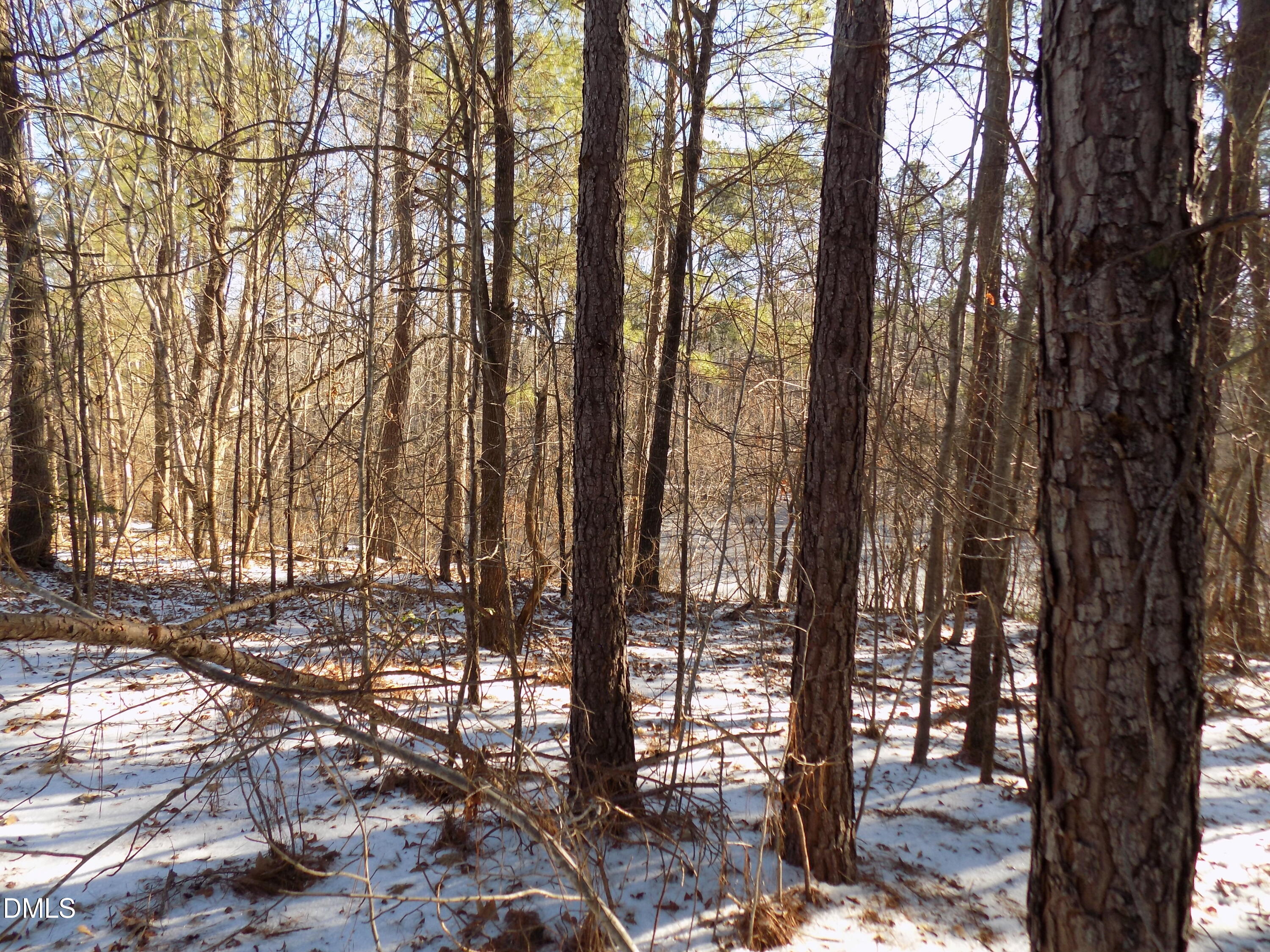 0 Buck Ridge Road Louisburg, NC 27549 - Photo 5 of 8 j1