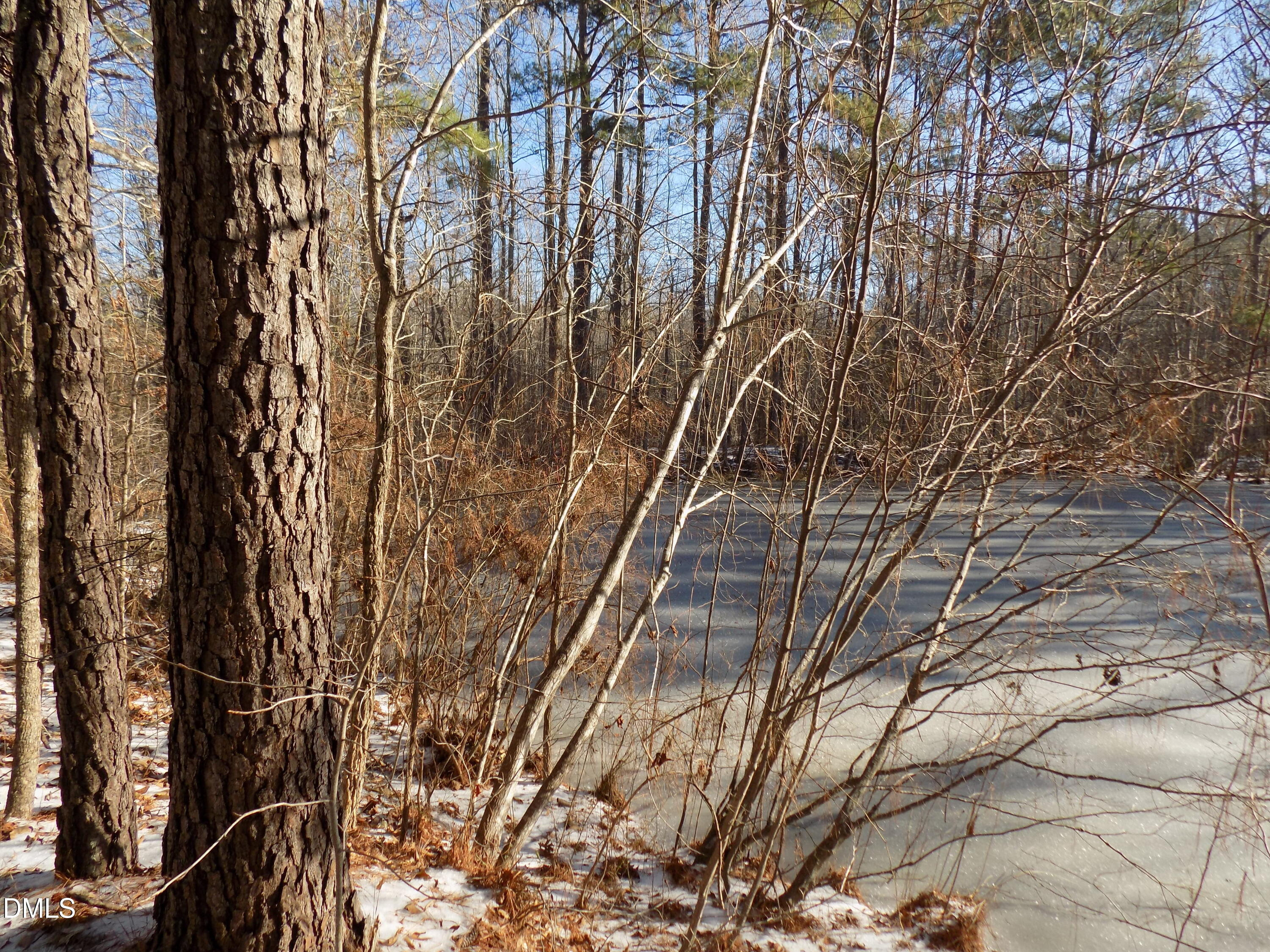 0 Buck Ridge Road Louisburg, NC 27549 - Photo 6 of 8 j2