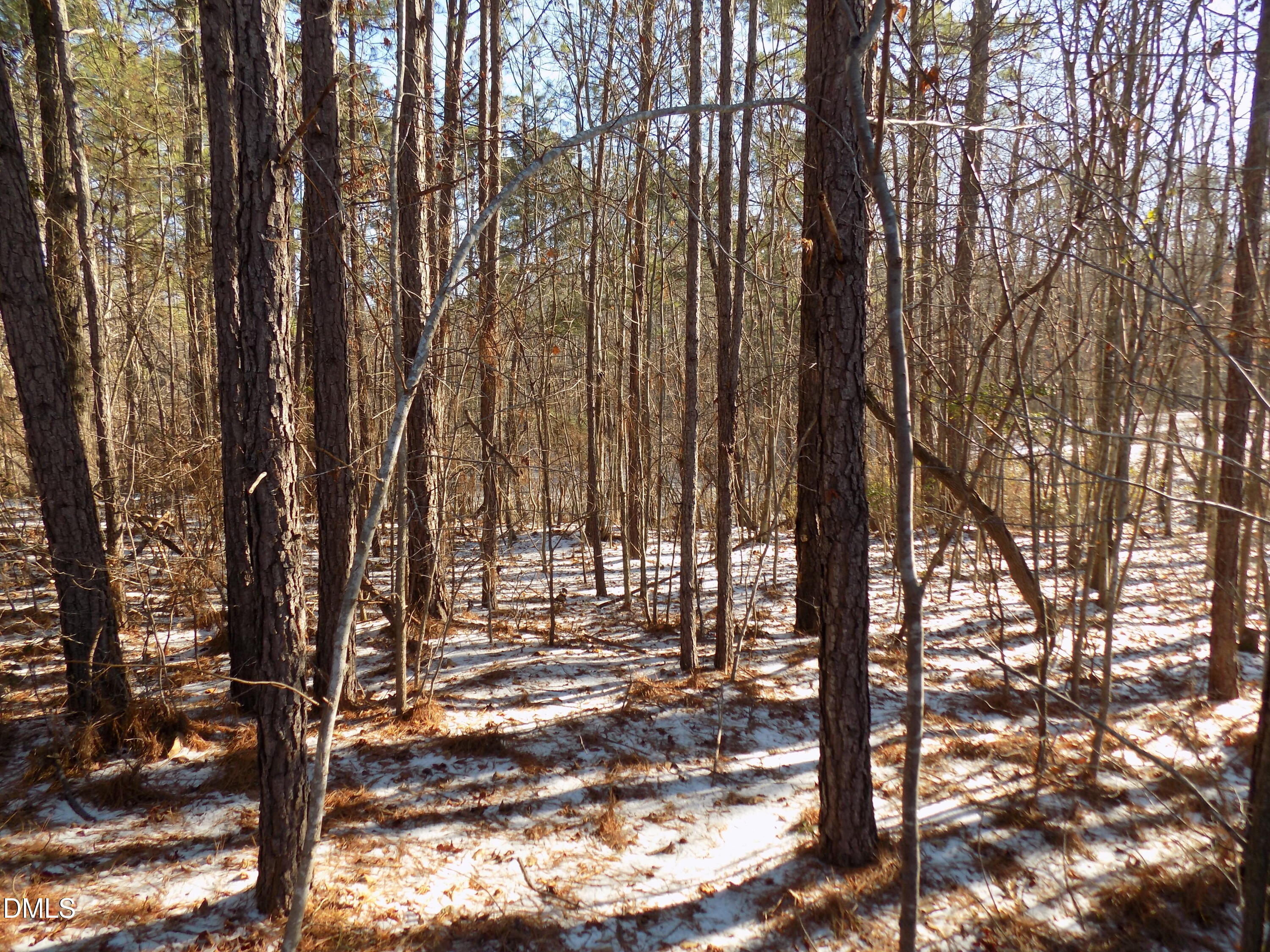 0 Buck Ridge Road Louisburg, NC 27549 - Photo 8 of 8 j4