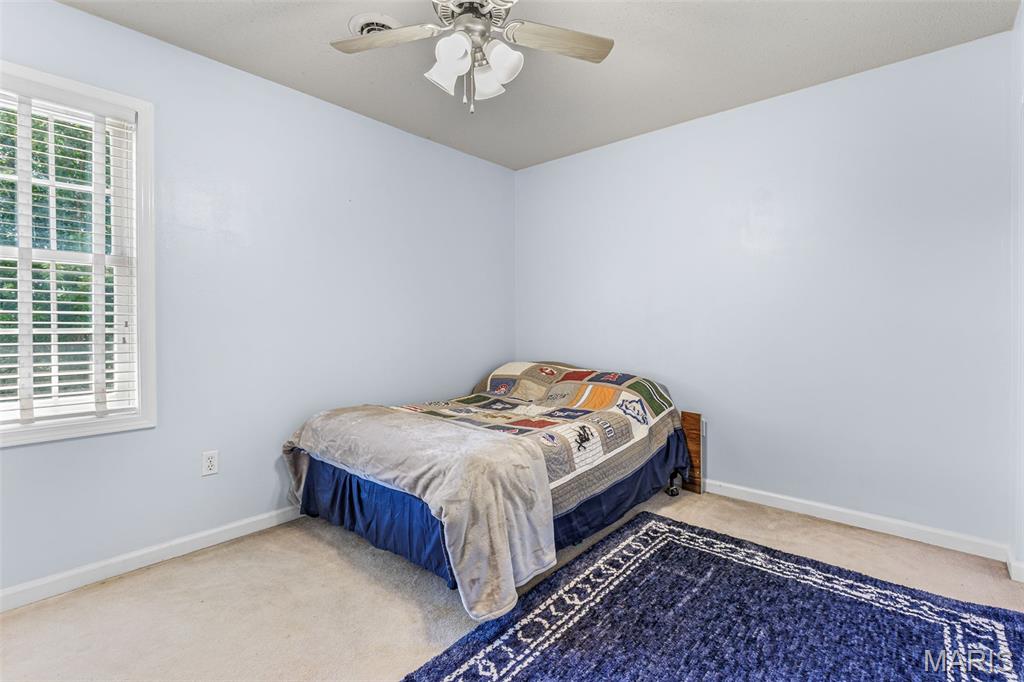 210 Buzzard Rock Road Farmington, MO 63640 - Photo 29 of 64