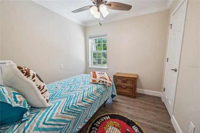 a view of backyard with green space