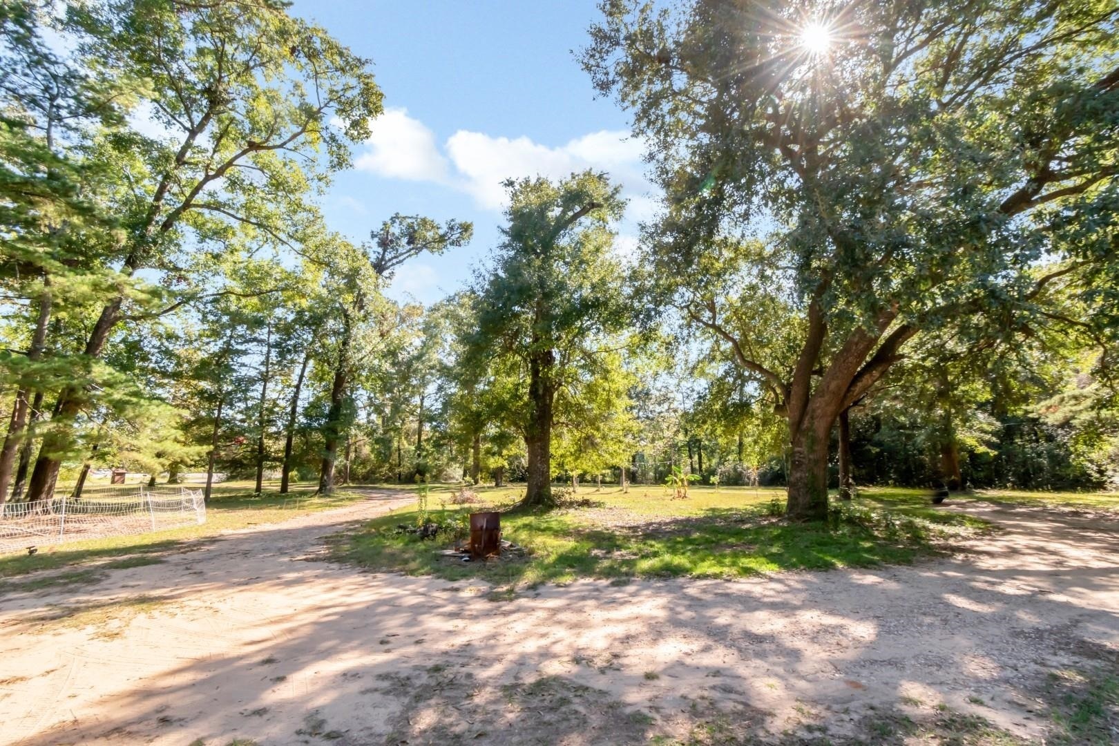 6405 1st Street Wilmer, AL 36587 - Photo 33 of 38 View of yard