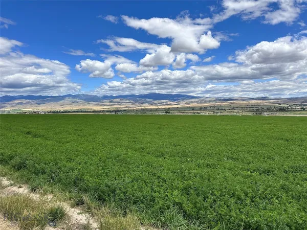 $399,900 | Lot 1 A Spring Canyon Road, Alder, MT 59710