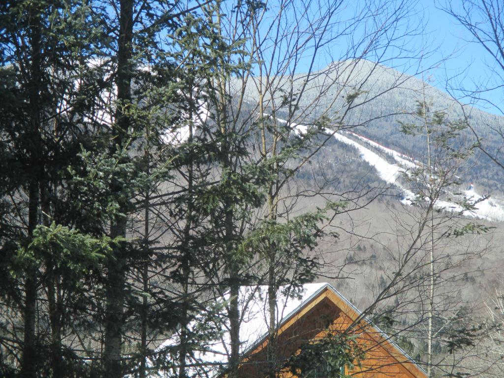 48 Snow's Mountain Road Waterville Valley, NH 03215 - Photo 15 of 31