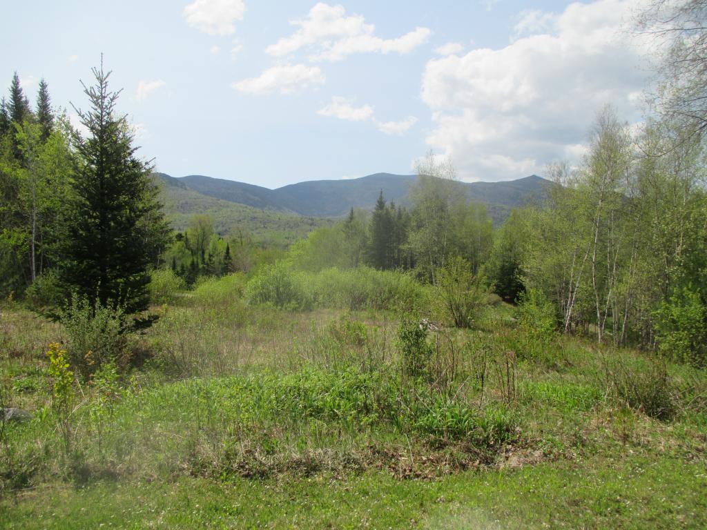 48 Snow's Mountain Road Waterville Valley, NH 03215 - Photo 31 of 31