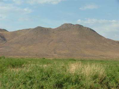 0 East White Tail Road Pearce, AZ 85625 - Photo 2 of 8